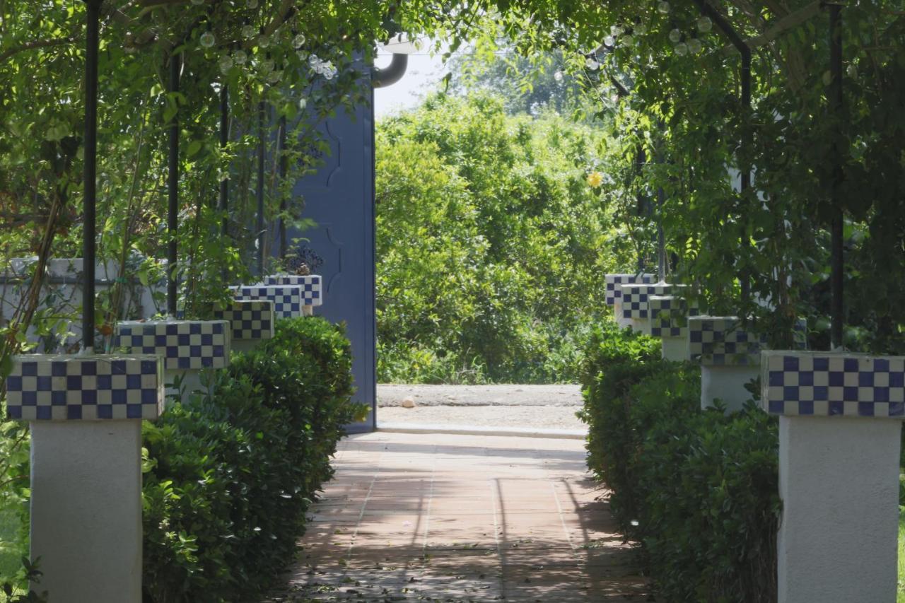 Villa Paula Valencia Манисес Экстерьер фото